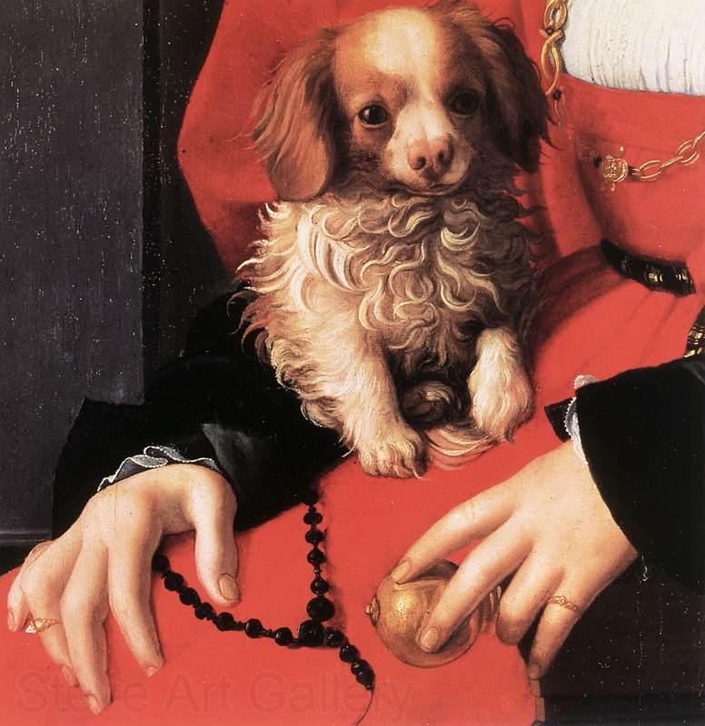BRONZINO, Agnolo Portrait of a Lady with a Puppy (detail) fg Spain oil painting art